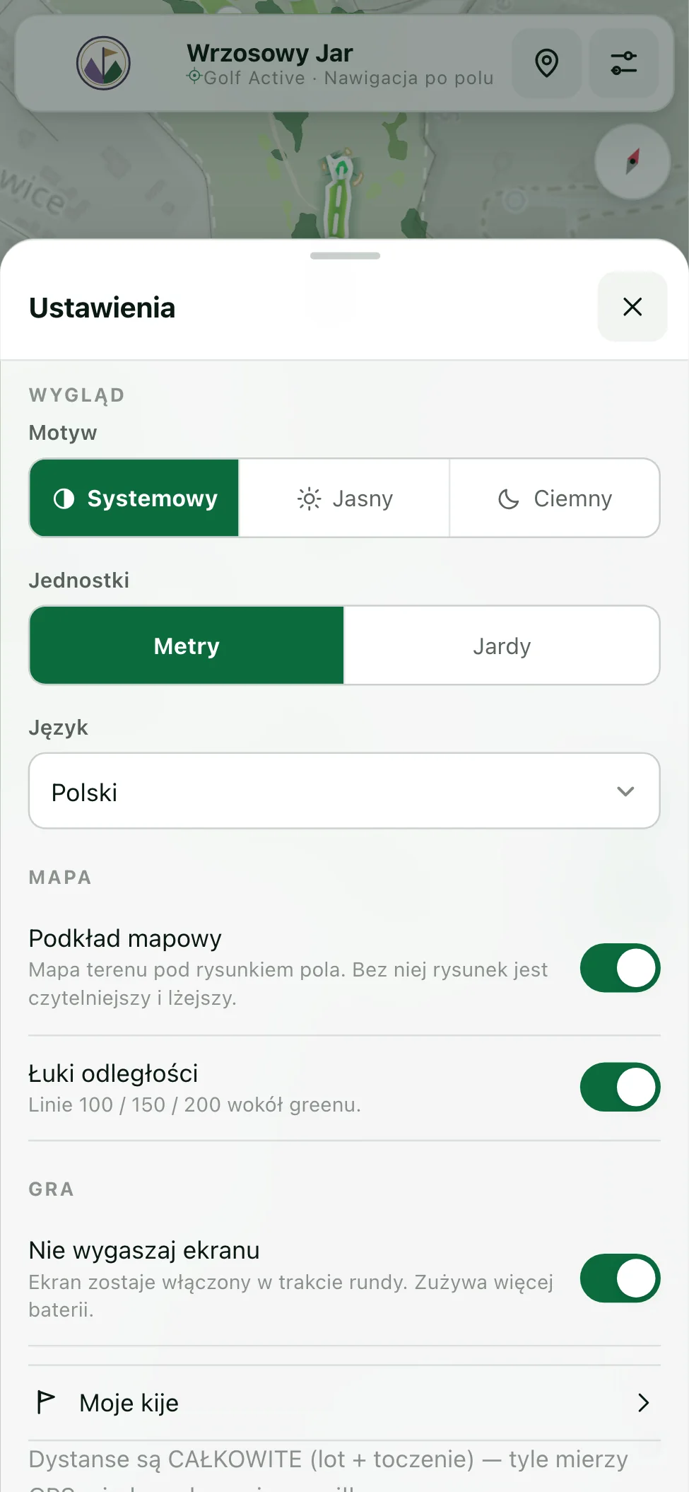 Panel ustawień: motyw, jednostki, mapa i gra