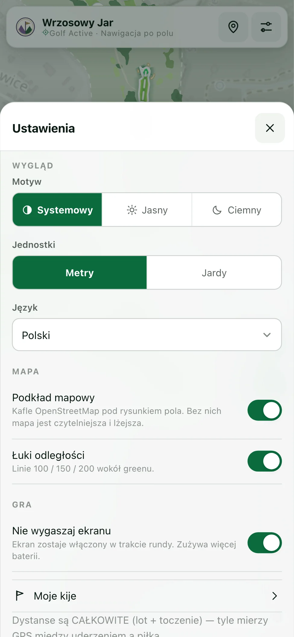Panel ustawień: motyw, jednostki, mapa i gra